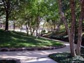 DT-Warren - Walking Path.jpg